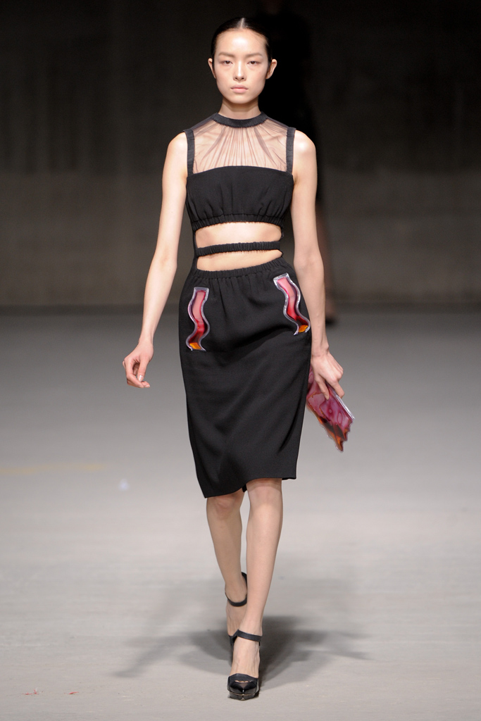 Christopher Kane 2011�ﶬ���¸���DƬ