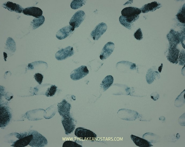 The Lake & Stars 2011VƬ DƬ