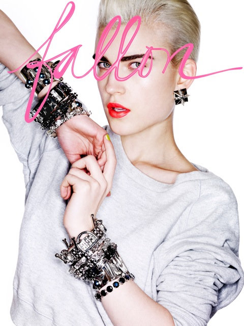 Fallon 2011錚VƬ DƬ