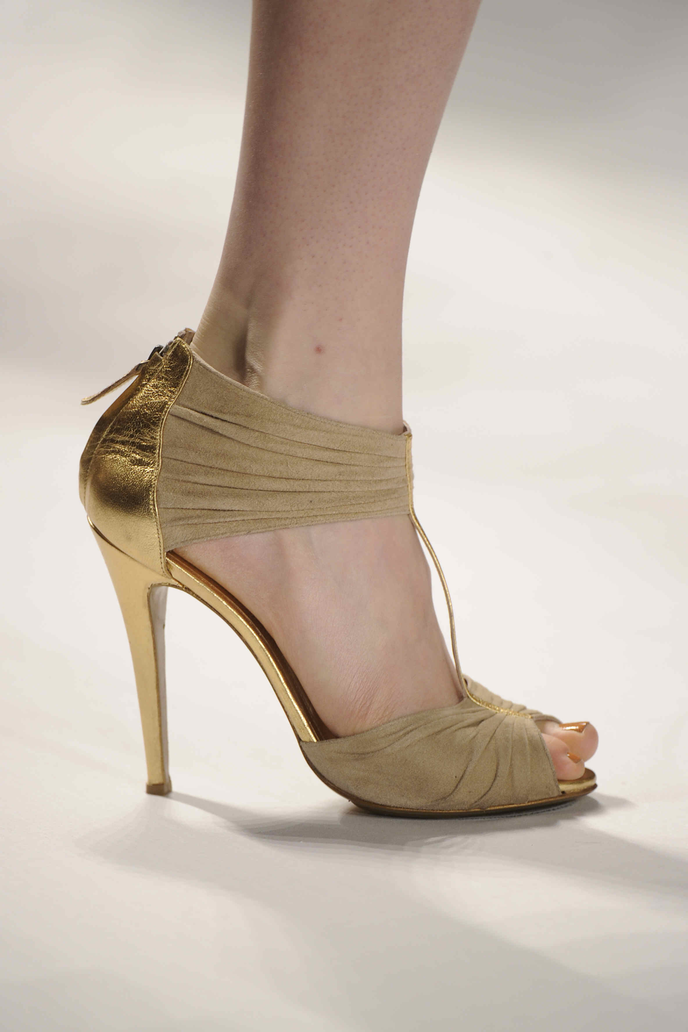 J Mendel 2011ﶬŮʿЬĸDƬ