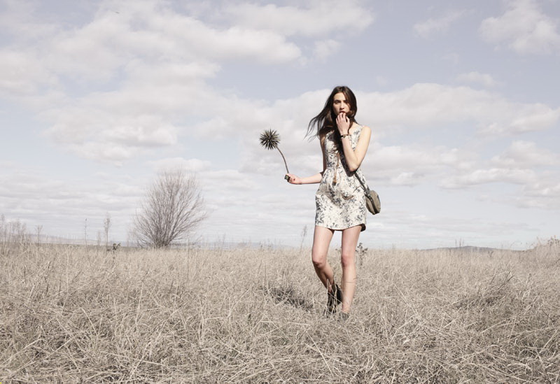 Something Else 2011ďVDƬ