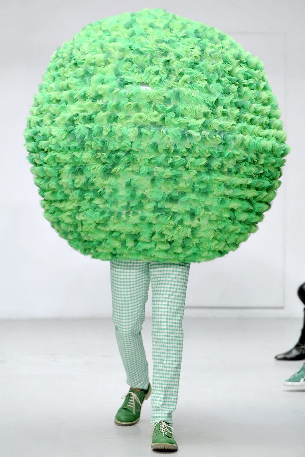 Walter Van Beirendonck 2012�������b����DƬ