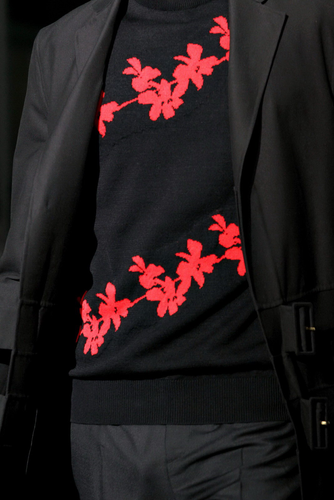 Raf Simons 2012b(x)(ji)DƬ