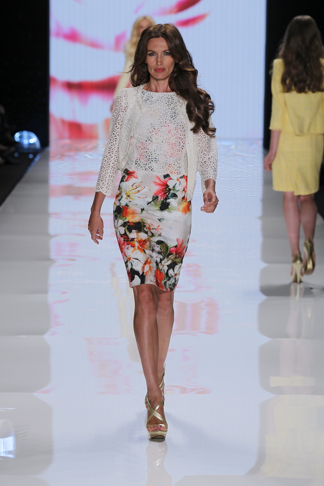 Basler 2012�����������DƬ