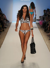 Zingara  2012�~����Ӿ�b�������DƬ