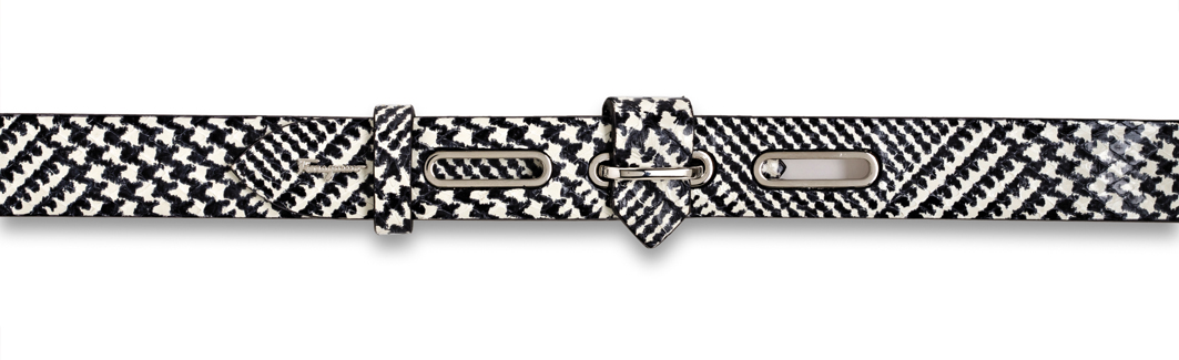 Salvatore Ferragamo 2011秋冬女士配飾系列高清圖片