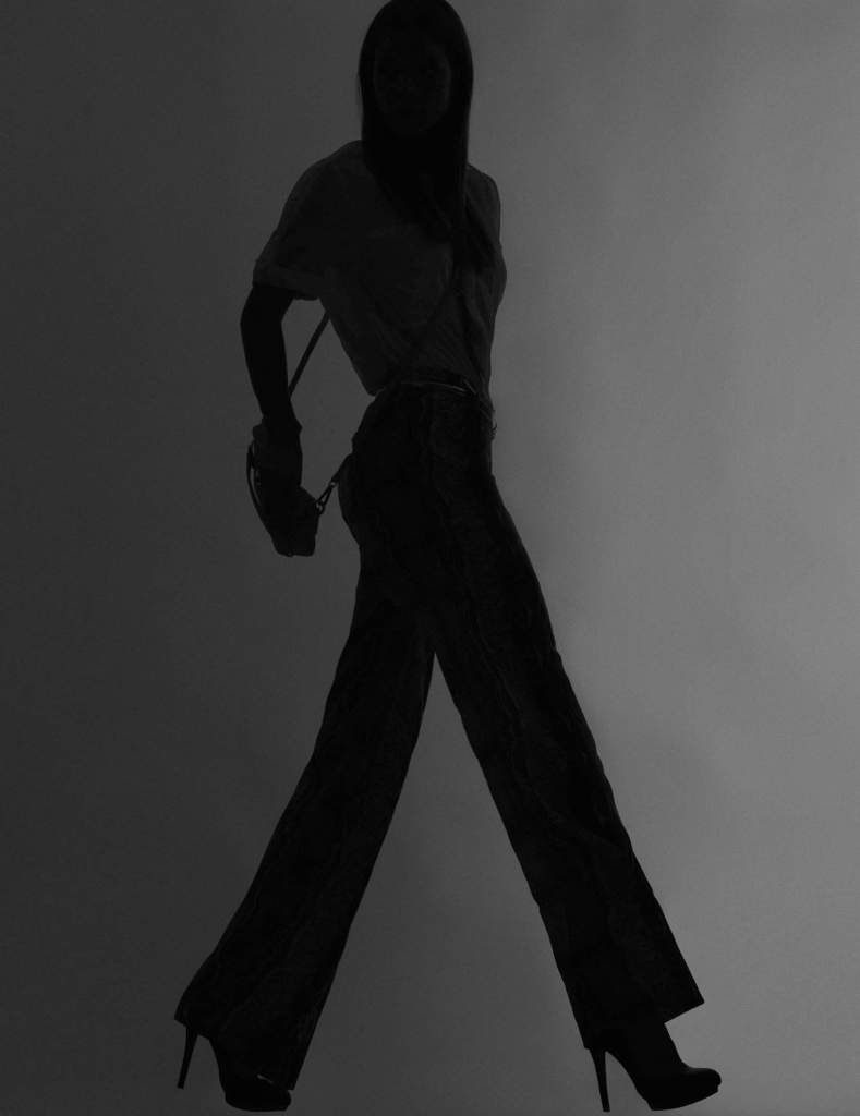 Stradivarius 2011ﶬVDƬ