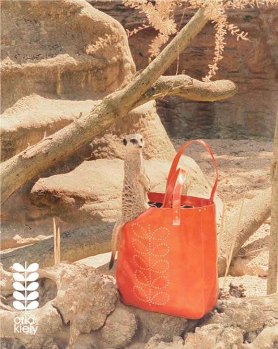 Orla Kiely 2011ﶬ LookBook DƬ