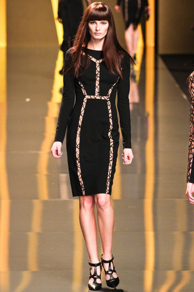 Elie Saab 2012�ﶬ���¸���DƬ