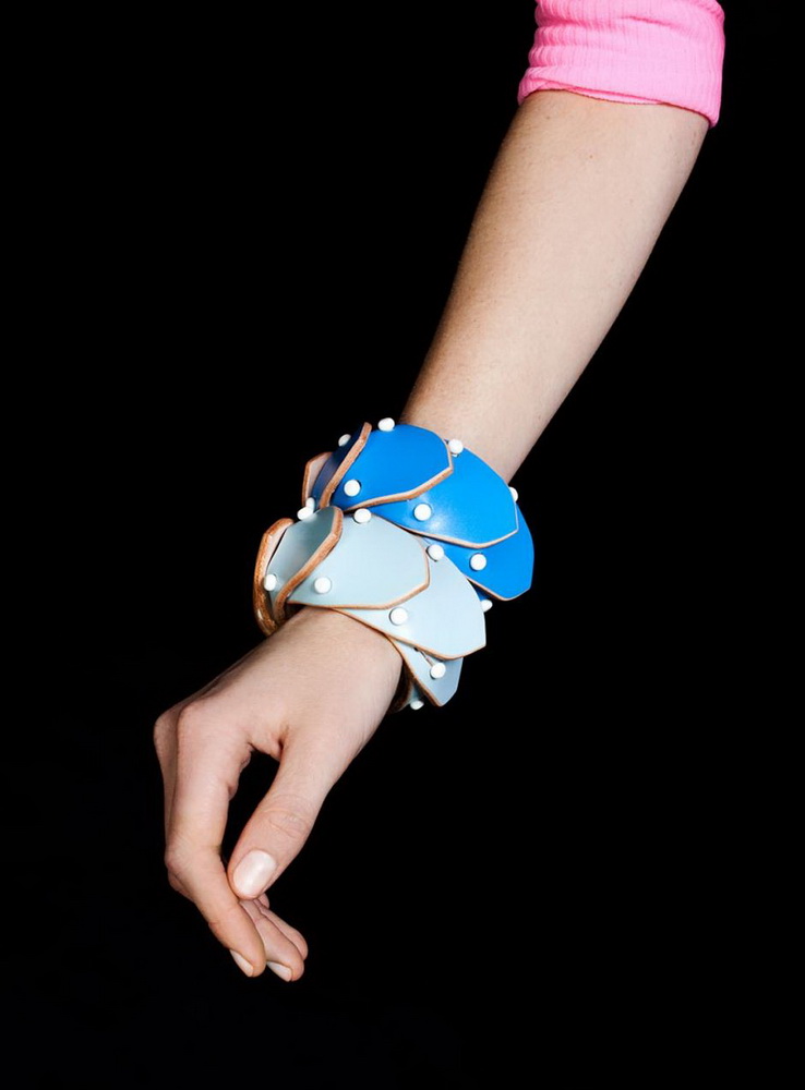 Fleet Ilya 2012ďV DƬ