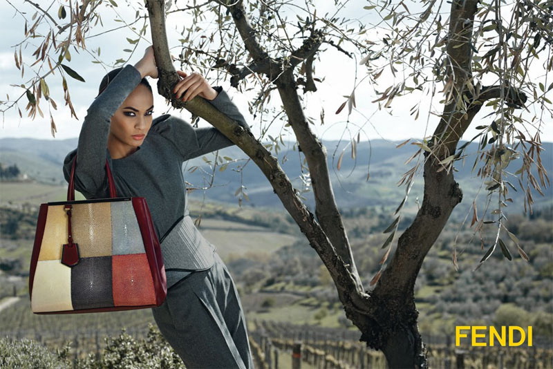 Fendi 2012ﶬϵЏVDƬ