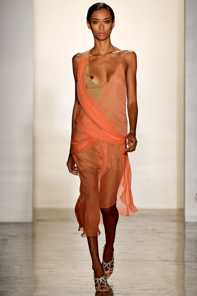 Sophie Theallet 2013DƬ
