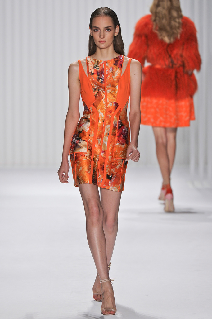 J. Mendel 2013DƬ