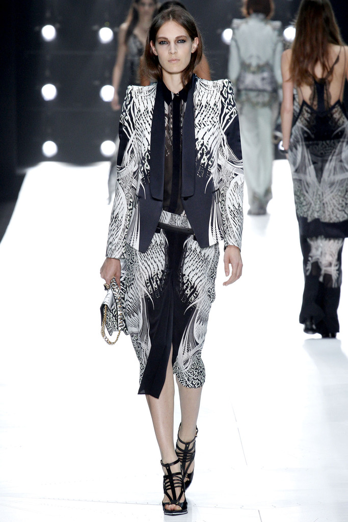 Roberto Cavalli 2013�����������DƬ