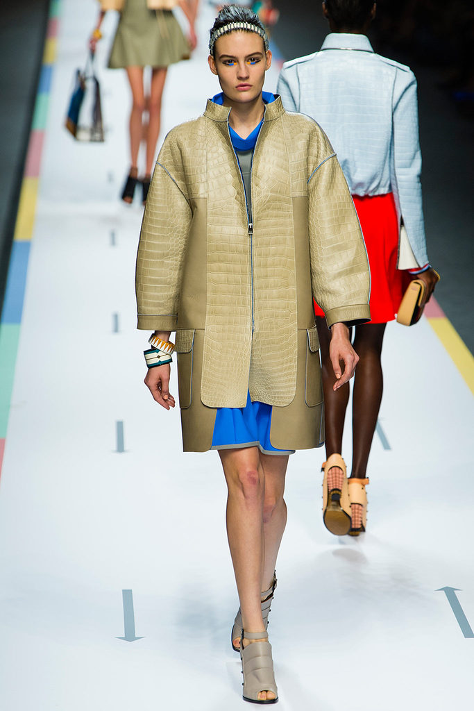 Fendi 2013�����������DƬ
