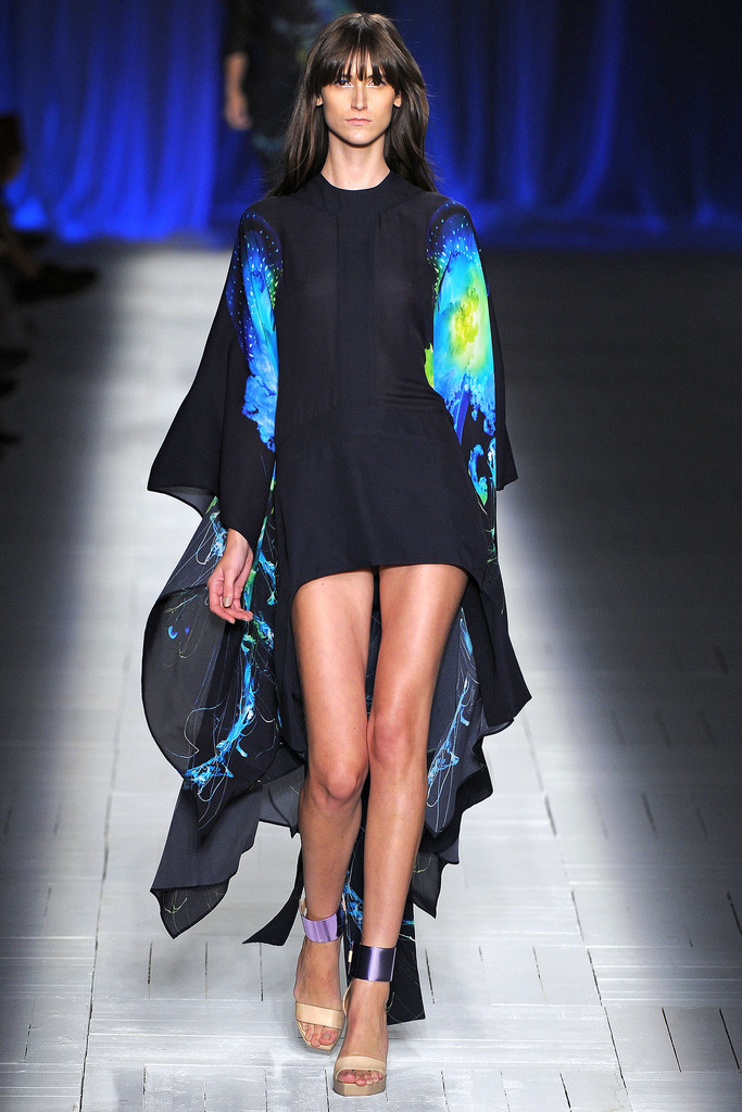 Just Cavalli 2013�����������DƬ