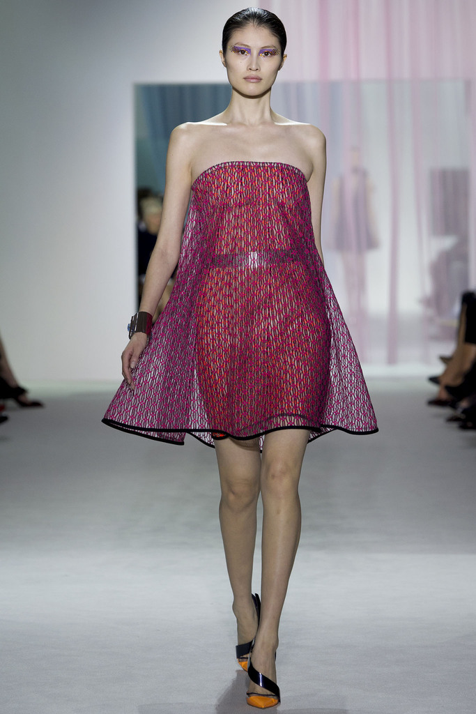 Christian Dior 2013�����������DƬ