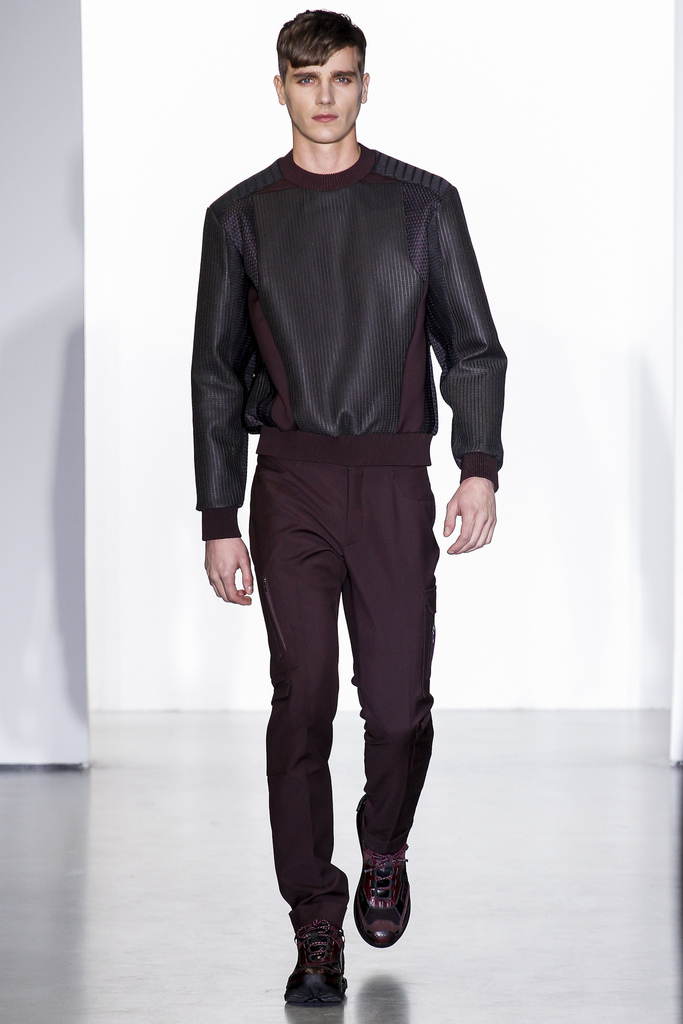 Calvin Klein Collection 2013ﶬb(chng)DDƬ