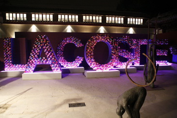 LACOSTE 75�����Ɍ�