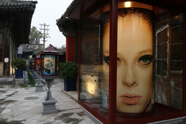 LACOSTE 75�����Ɍ�