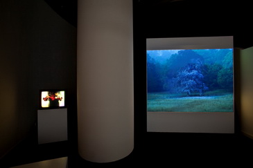 ��·�����ǣ�������С�ˇ�gչ����_Ļ