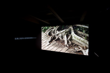 ��·�����ǣ�������С�ˇ�gչ����_Ļ